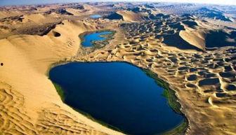 最新沙漠爆料消息,揭秘神秘遗迹与未知的自然奇观  第2张